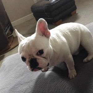 Meet your Posher, Ty